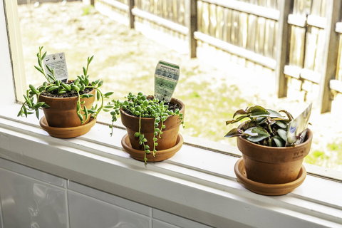 Bacchus Centro - Kingaroy Accommodation 10