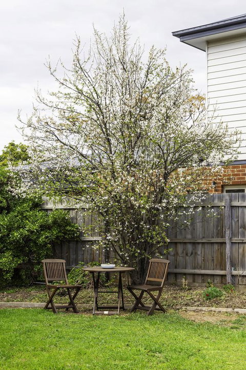 Bacchus Centro - Kingaroy Accommodation 9