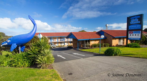 Blue Whale Motor Inn & Apartments - Kingaroy Accommodation 0