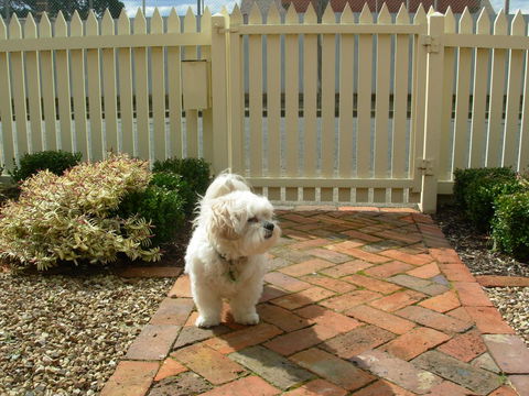 Sabina On Little Myers - Kingaroy Accommodation 24