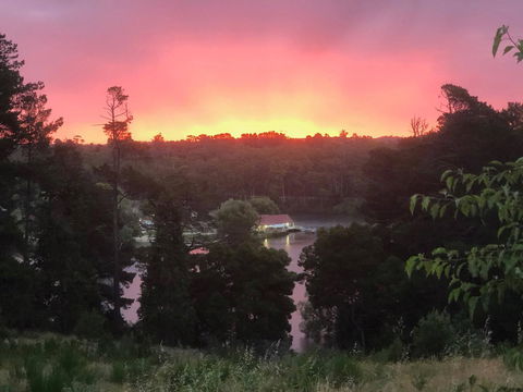 Minni Gums - Kingaroy Accommodation 2