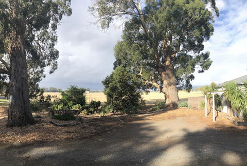 Minni Gums - Kingaroy Accommodation 18