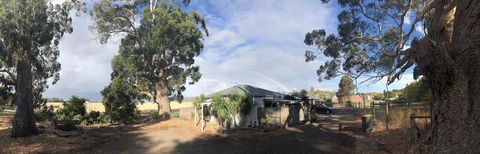 Minni Gums - Kingaroy Accommodation 11