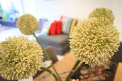 Nest-Apartments On QV - Kingaroy Accommodation 8