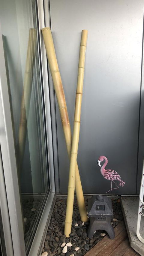 Nest-Apartments On QV - Kingaroy Accommodation 1