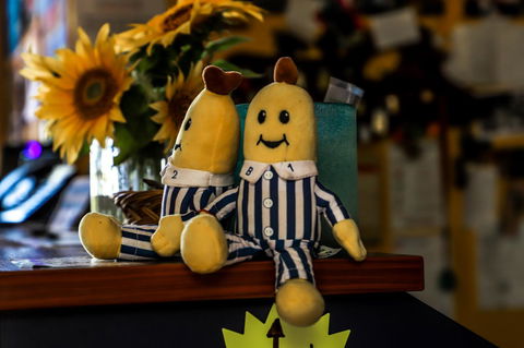 Cool Bananas Backpackers - Kingaroy Accommodation 30