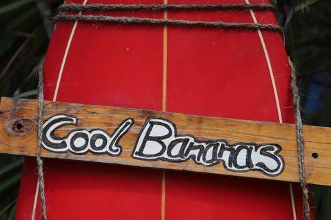 Cool Bananas Backpackers - Kingaroy Accommodation 41