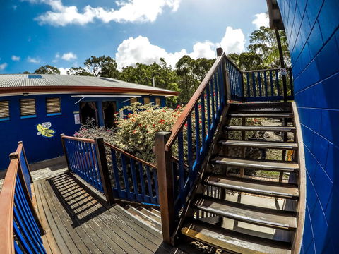 Cool Bananas Backpackers - Kingaroy Accommodation 27
