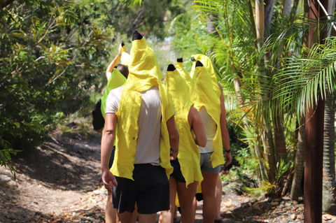 Cool Bananas Backpackers - Kingaroy Accommodation 19