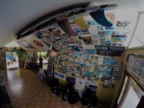 Cool Bananas Backpackers - Kingaroy Accommodation 31