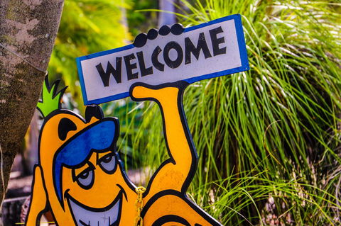 Cool Bananas Backpackers - Kingaroy Accommodation 37