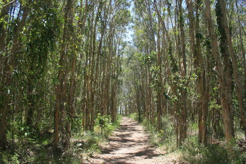 Lake Weyba Noosa Lodge & Kangaroos - Kingaroy Accommodation 39