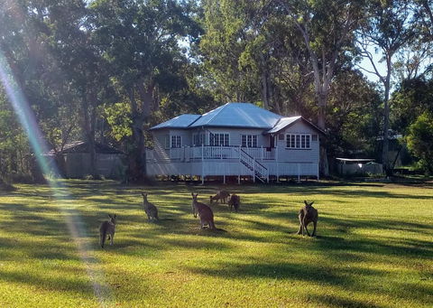 Lake Weyba Noosa Lodge & Kangaroos - Kingaroy Accommodation 0