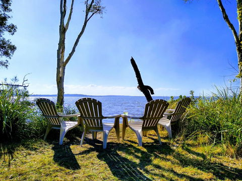 Lake Weyba Noosa Lodge & Kangaroos - Kingaroy Accommodation 44