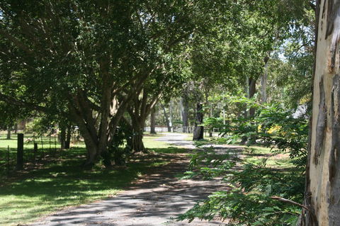 Lake Weyba Noosa Lodge & Kangaroos - Kingaroy Accommodation 34