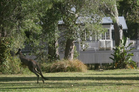 Lake Weyba Noosa Lodge & Kangaroos - Kingaroy Accommodation 31