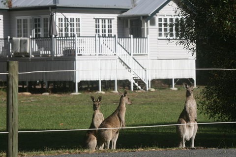 Lake Weyba Noosa Lodge & Kangaroos - Kingaroy Accommodation 28