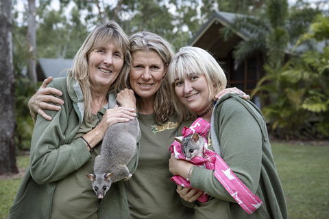 Airlie Beach Eco Cabins - Adults Only - Kingaroy Accommodation 23