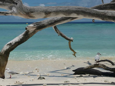 Beach Club Port Douglas Luxury Apartments - Kingaroy Accommodation 23