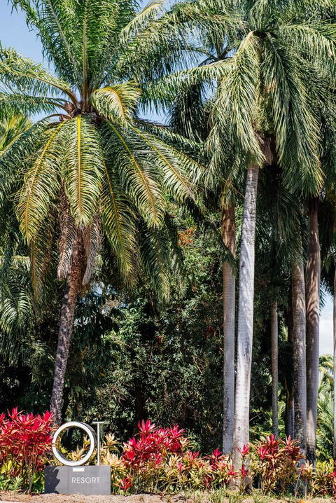 Oaks Port Douglas Resort - Kingaroy Accommodation 40
