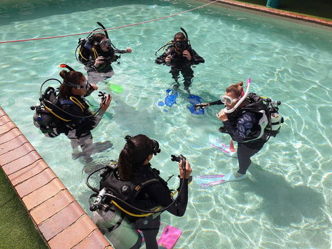 Backpackers In Paradise 18-35 Hostel - Kingaroy Accommodation 18