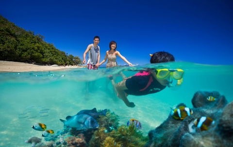 Fitzroy Island Resort - Kingaroy Accommodation 22