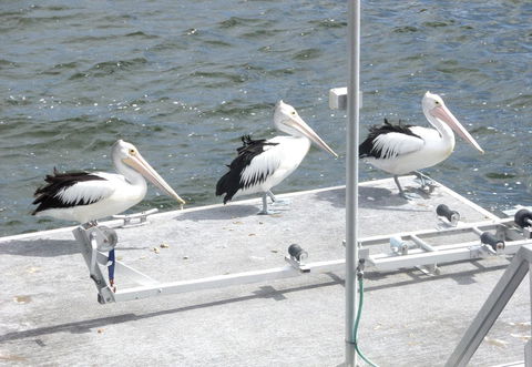 Gaia On Bribie Island - Kingaroy Accommodation 40