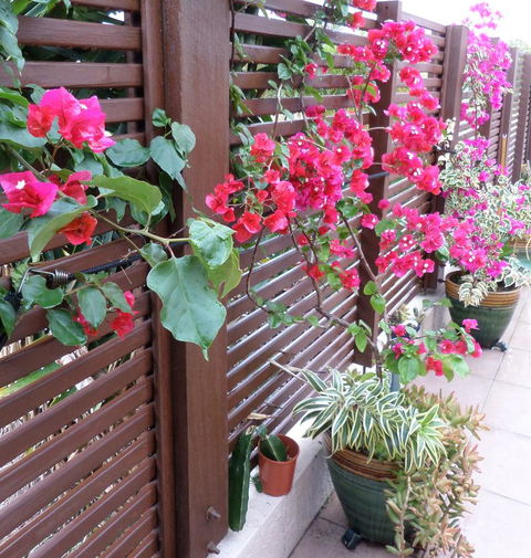 Gaia On Bribie Island - Kingaroy Accommodation 43