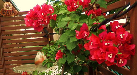 Gaia On Bribie Island - Kingaroy Accommodation 26