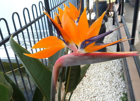 Gaia On Bribie Island - Kingaroy Accommodation 24