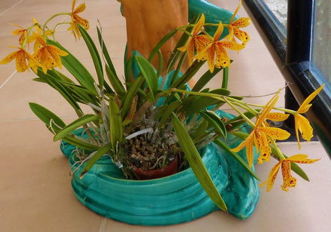 Gaia On Bribie Island - Kingaroy Accommodation 44