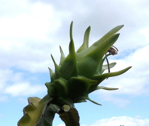 Gaia On Bribie Island - Kingaroy Accommodation 22