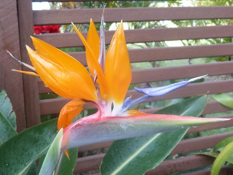 Gaia On Bribie Island - Kingaroy Accommodation 38