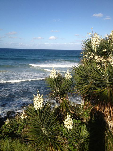 Oceania On Burleigh Beach - Kingaroy Accommodation 23