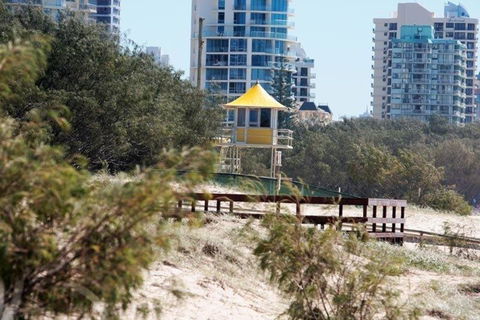 Surfers International Apartments - Kingaroy Accommodation 4