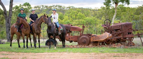 Ironbark House - Kingaroy Accommodation 8