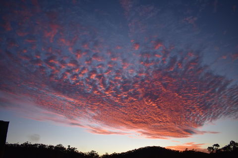 Ironbark House - Kingaroy Accommodation 6