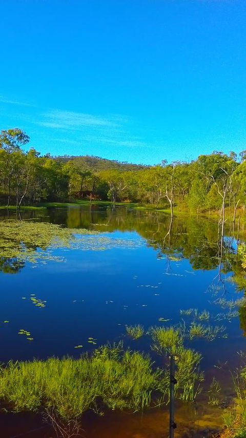 Ironbark House - Kingaroy Accommodation 21
