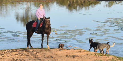 Ironbark House - Kingaroy Accommodation 39
