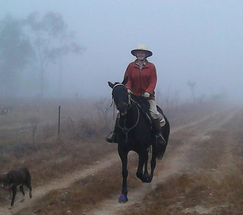 Ironbark House - Kingaroy Accommodation 37