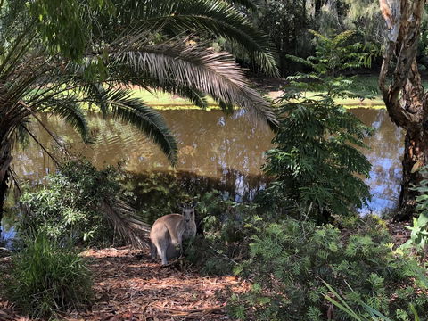 Waterfront Resort Villa With Buggy - Kingaroy Accommodation 25