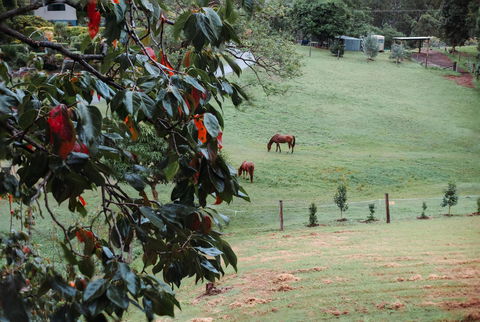 La Casita Banca - Luxury Holiday Home - Kingaroy Accommodation 3