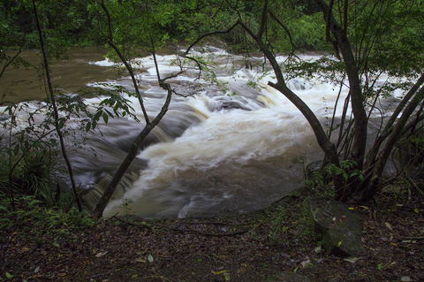 Bower 63 - Kingaroy Accommodation 24
