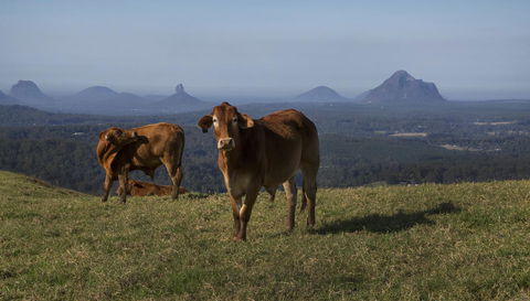 Bower 63 - Kingaroy Accommodation 29