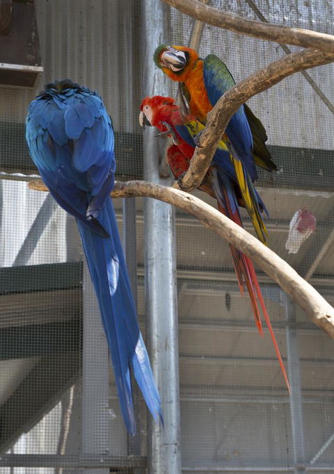 Bower 63 - Kingaroy Accommodation 35