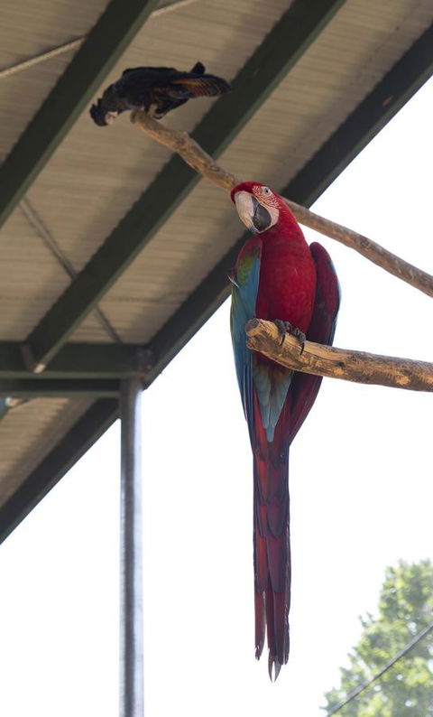 Bower 63 - Kingaroy Accommodation 36