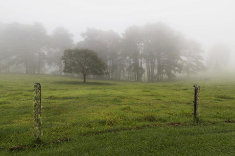 Bower 63 - Kingaroy Accommodation 25