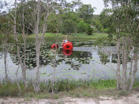 1770 Southern Cross Travellers Retreat - Kingaroy Accommodation 16
