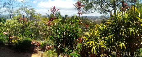 Private Guest Suite High On Currumbin Hill - Kingaroy Accommodation 27