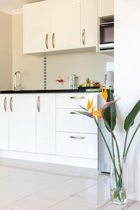 Private Guest Suite High On Currumbin Hill - Kingaroy Accommodation 6